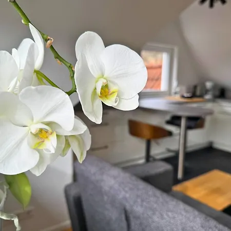 Boutique Ferienwohnungen Mit Gartensauna, Naehe Europapark Und Strassburg 