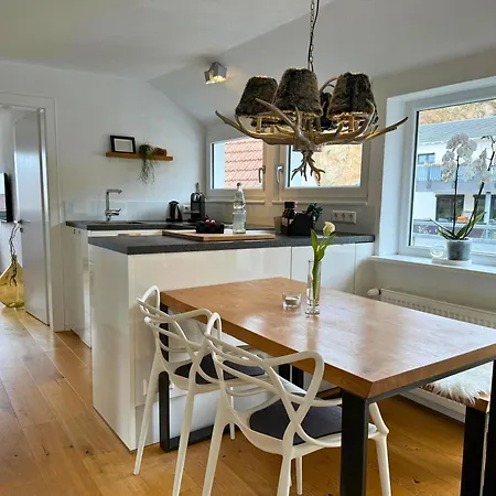 Boutique Ferienwohnungen Mit Gartensauna, Naehe Europapark Und Strassburg 