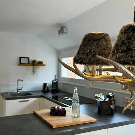 Boutique Ferienwohnungen Mit Gartensauna, Naehe Europapark Und Strassburg 