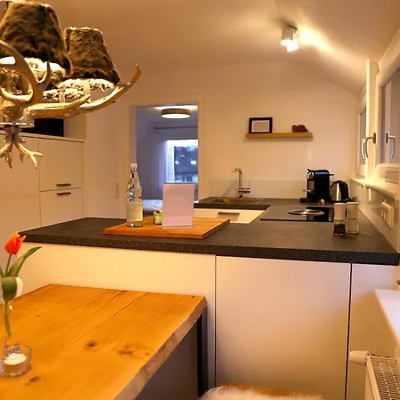 Boutique Ferienwohnungen Mit Gartensauna, Naehe Europapark Und Strassburg 