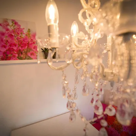 Boutique Ferienwohnungen Mit Gartensauna, Naehe Europapark Und Strassburg 