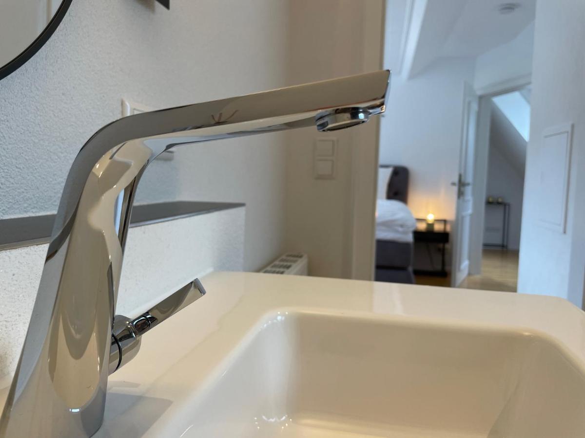 Appartement Boutique Mit Gartensauna, Naehe Europapark Und Strassburg 