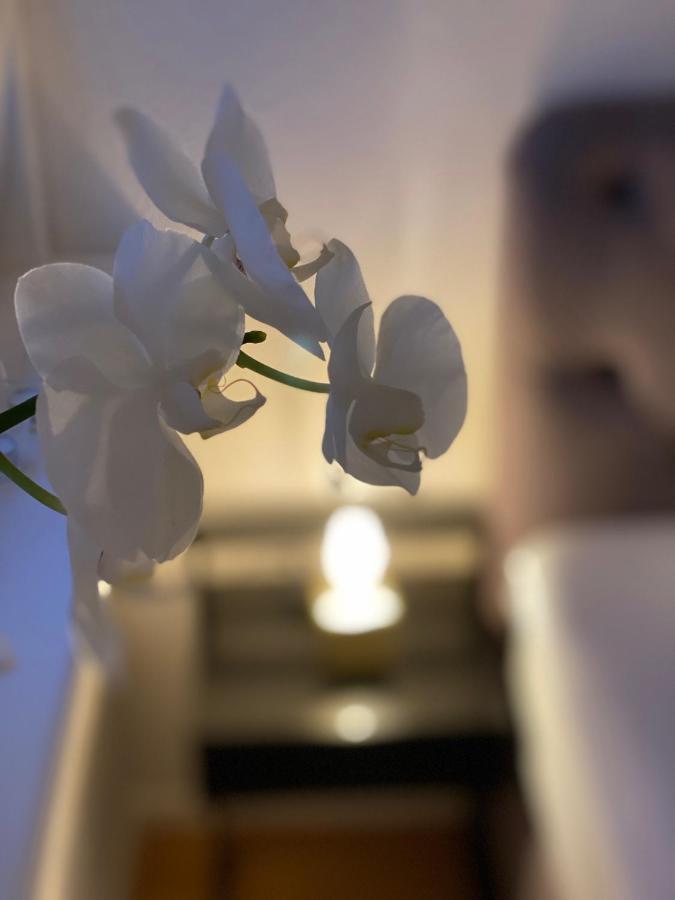 Boutique Mit Gartensauna, Naehe Europapark Und Strassburg 