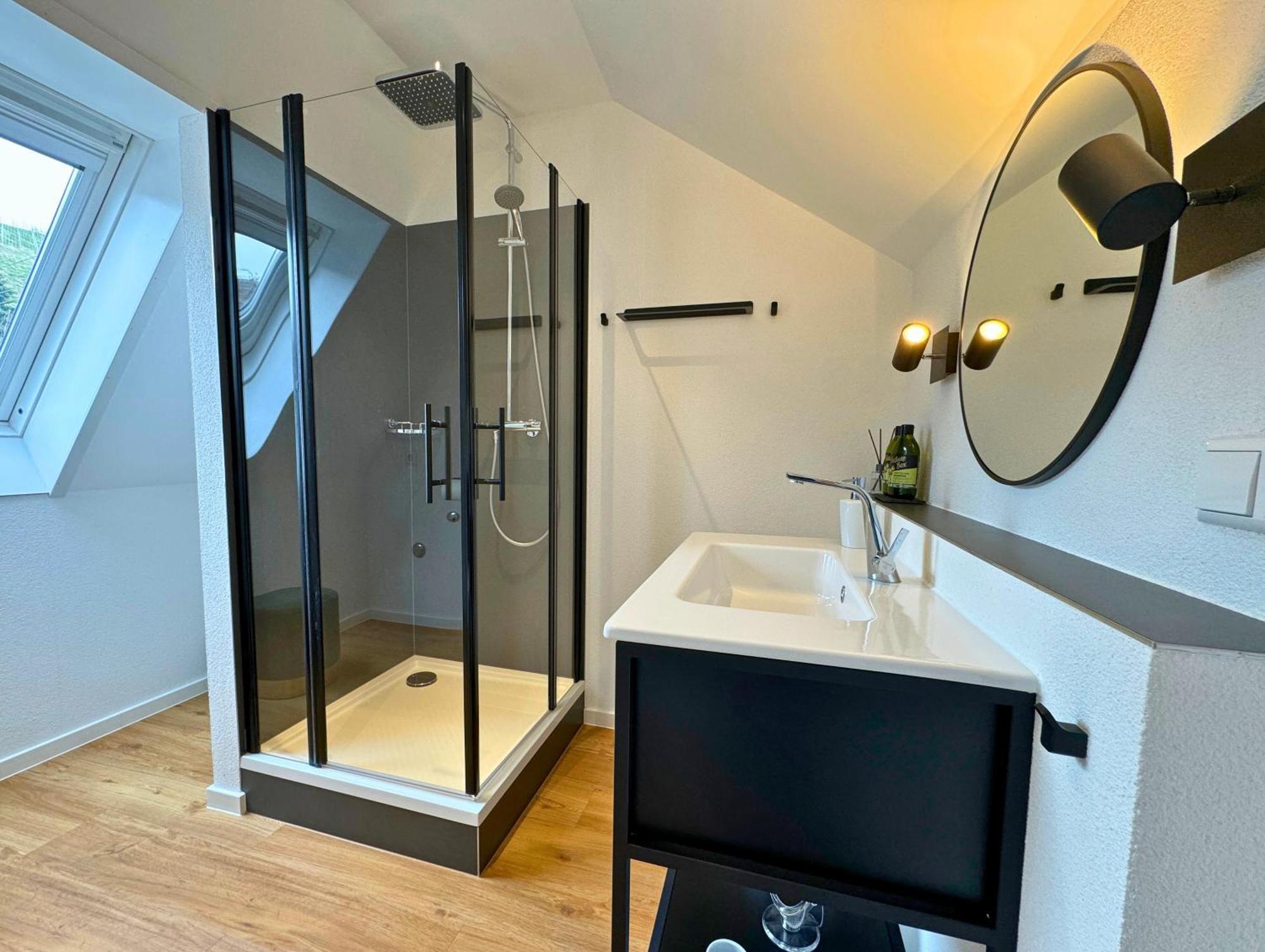Appartement Boutique Mit Gartensauna, Naehe Europapark Und Strassburg 