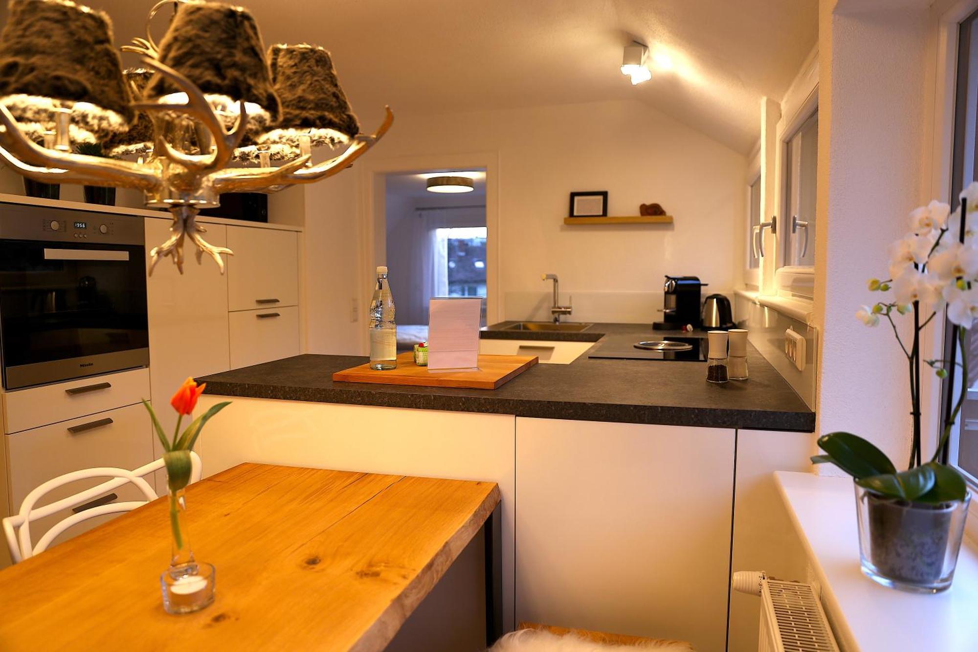 Boutique Mit Gartensauna, Naehe Europapark Und Strassburg 