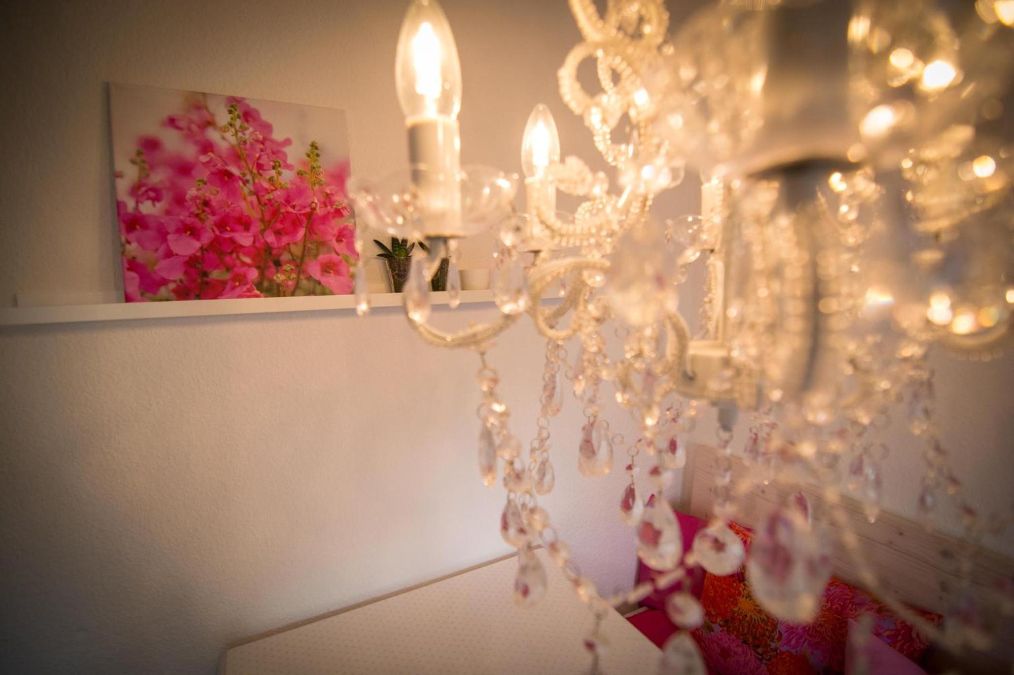 Appartement Boutique Mit Gartensauna, Naehe Europapark Und Strassburg 