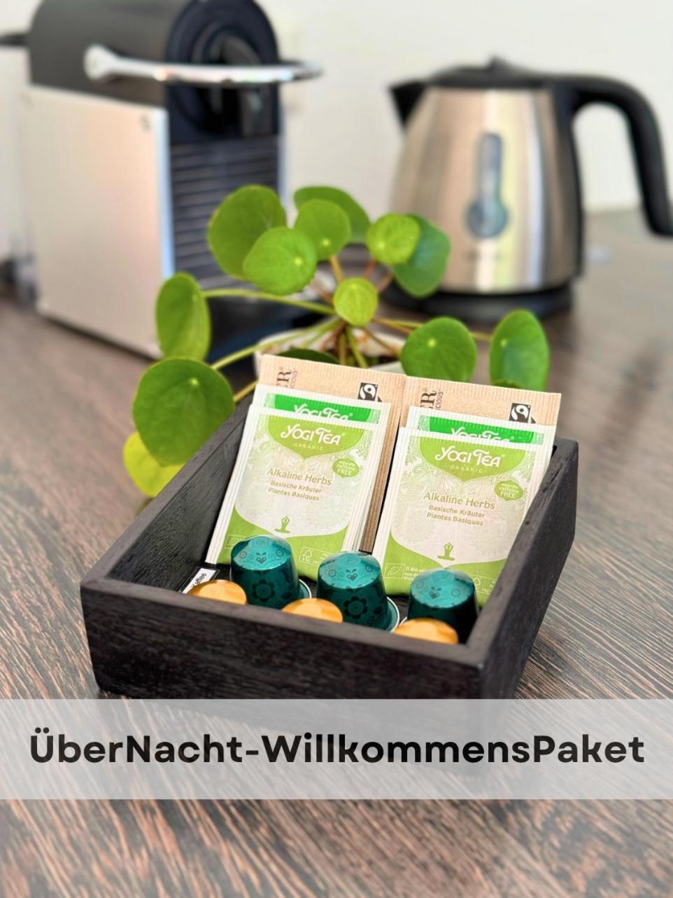 Boutique Mit Gartensauna, Naehe Europapark Und Strassburg 